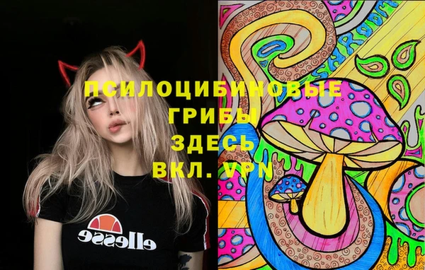 скорость Кукмор