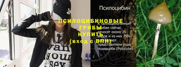 ECSTASY Краснослободск